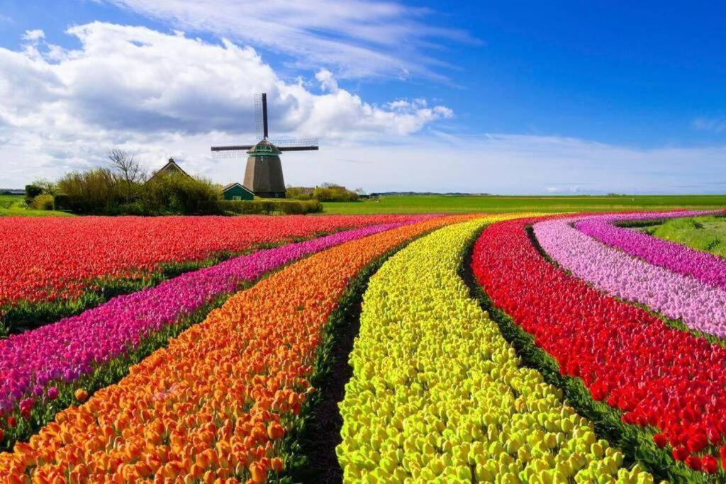 Gastenverblijf Janssen In Schagen Exteriér fotografie