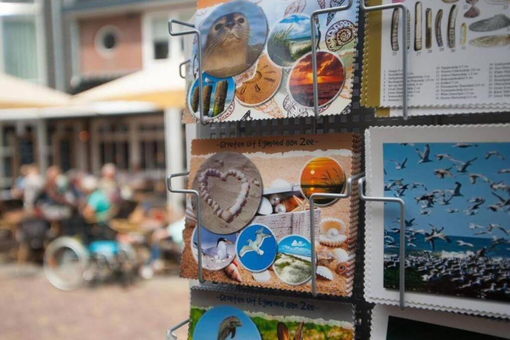 Gastenverblijf Janssen In Schagen Exteriér fotografie
